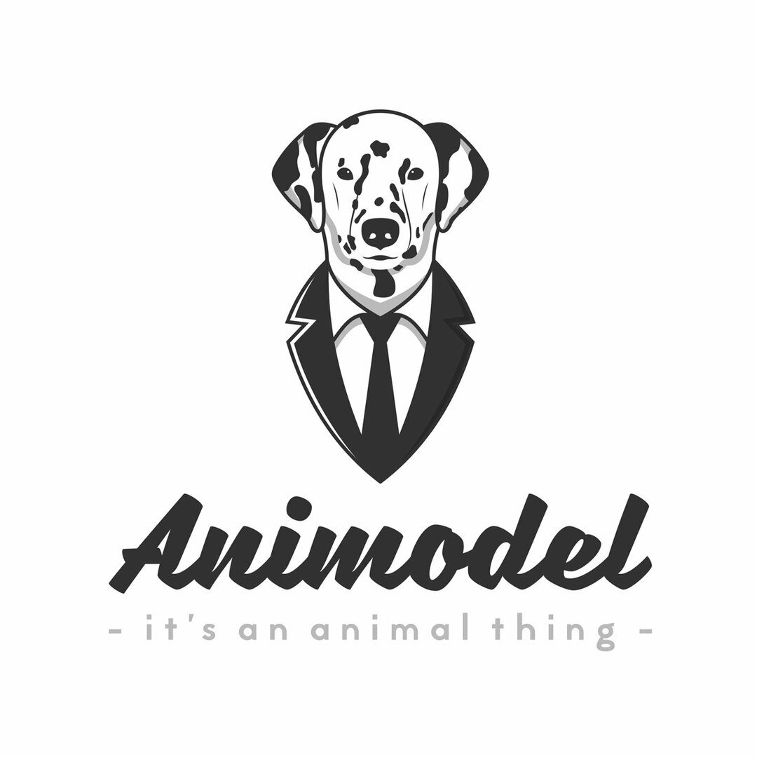 Animodel
